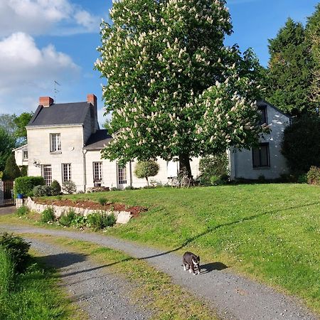 Chambres D'Hotes De L'Ile Du Saule Saumur Esterno foto