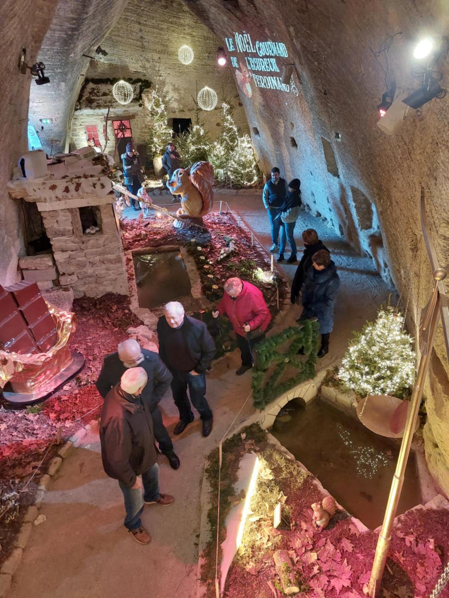 Chambres D'Hotes De L'Ile Du Saule Saumur Esterno foto