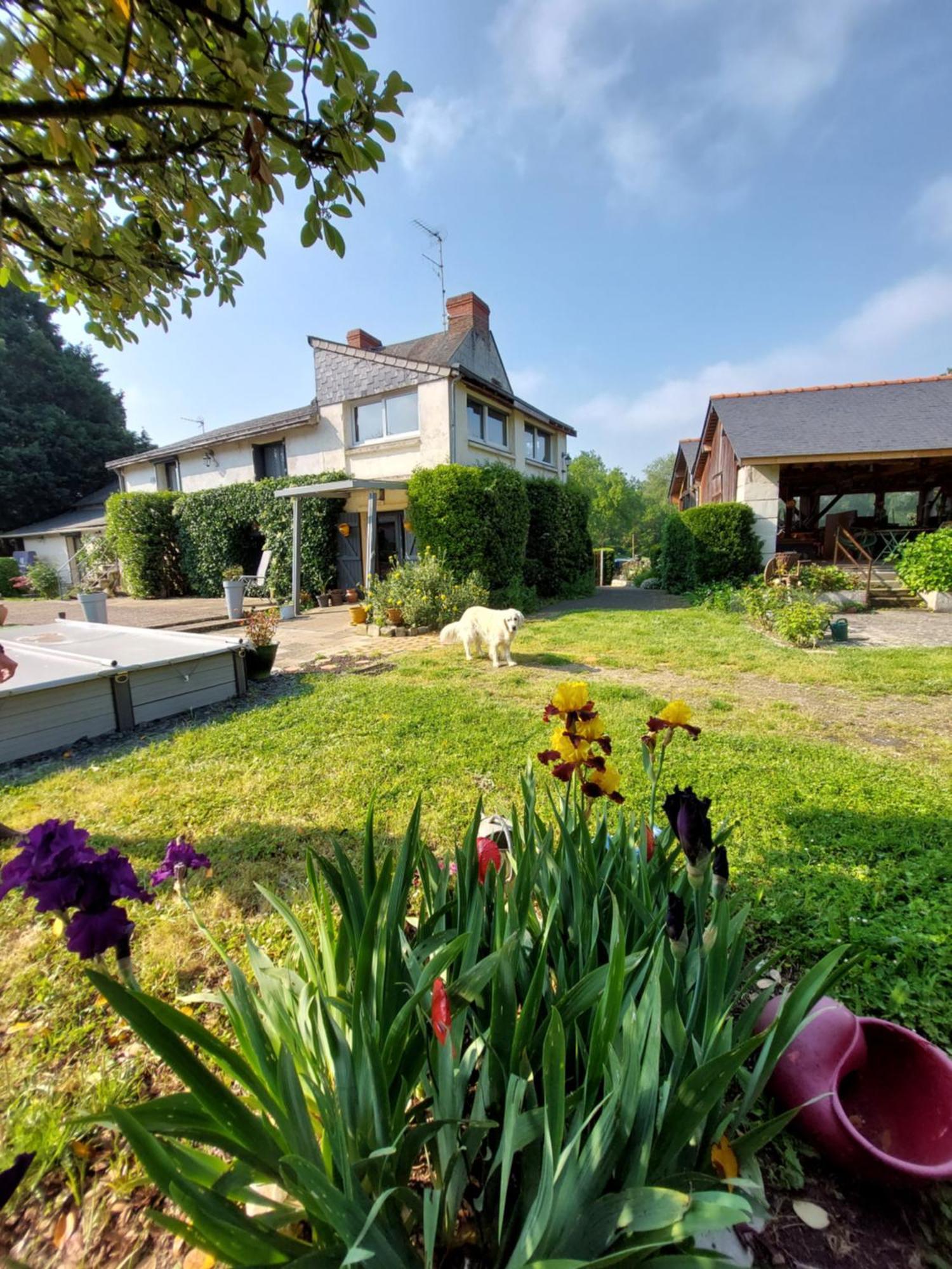 Chambres D'Hotes De L'Ile Du Saule Saumur Esterno foto